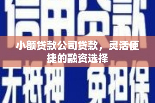 汝阳小额贷款公司贷款，灵活便捷的融资选择