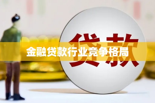 小金金融贷款行业竞争格局
