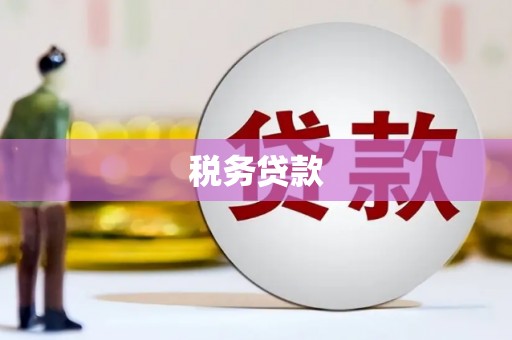岷县税务贷款