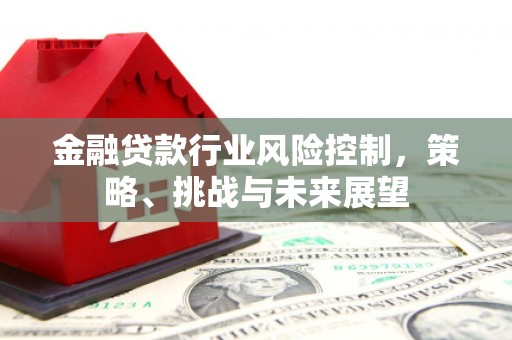 南乐金融贷款行业风险控制，策略、挑战与未来展望