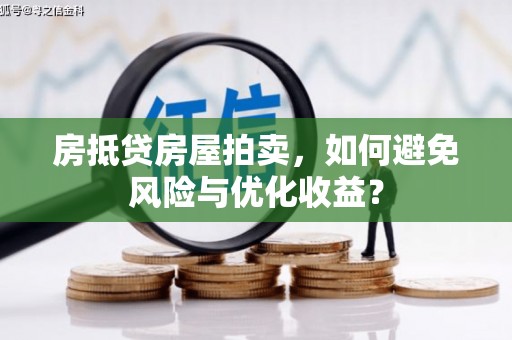 树林房抵贷房屋拍卖，如何避免风险与优化收益？